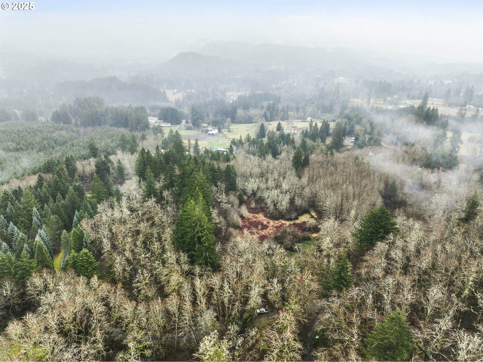 NE 197th Ct, Amboy, WA 98601