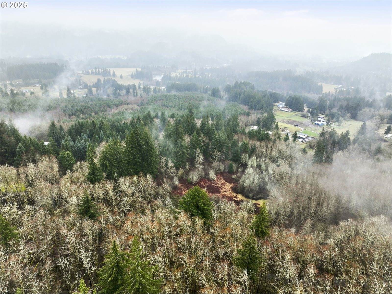 NE 197th Ct, Amboy, WA 98601