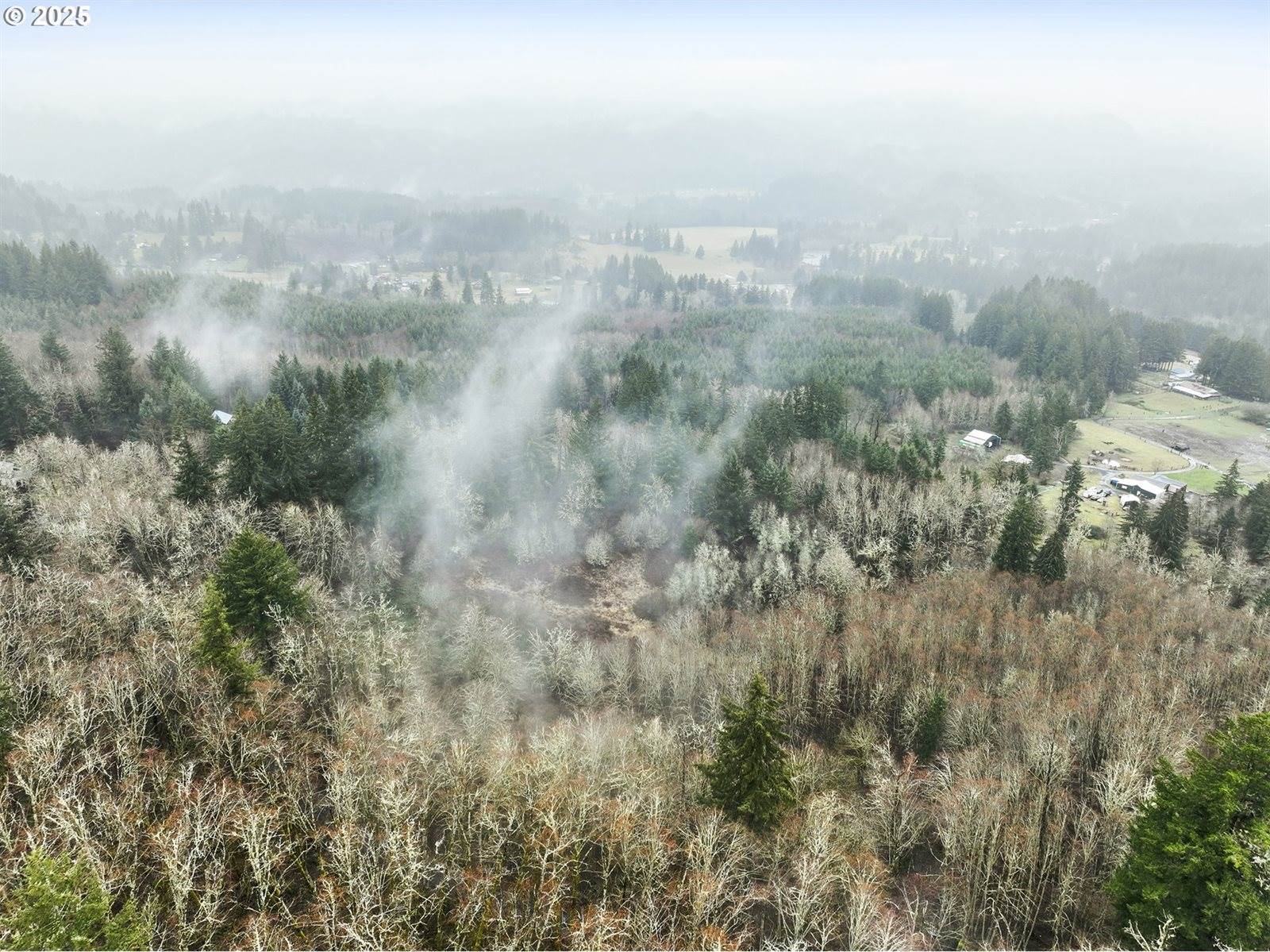 NE 197th Ct, Amboy, WA 98601