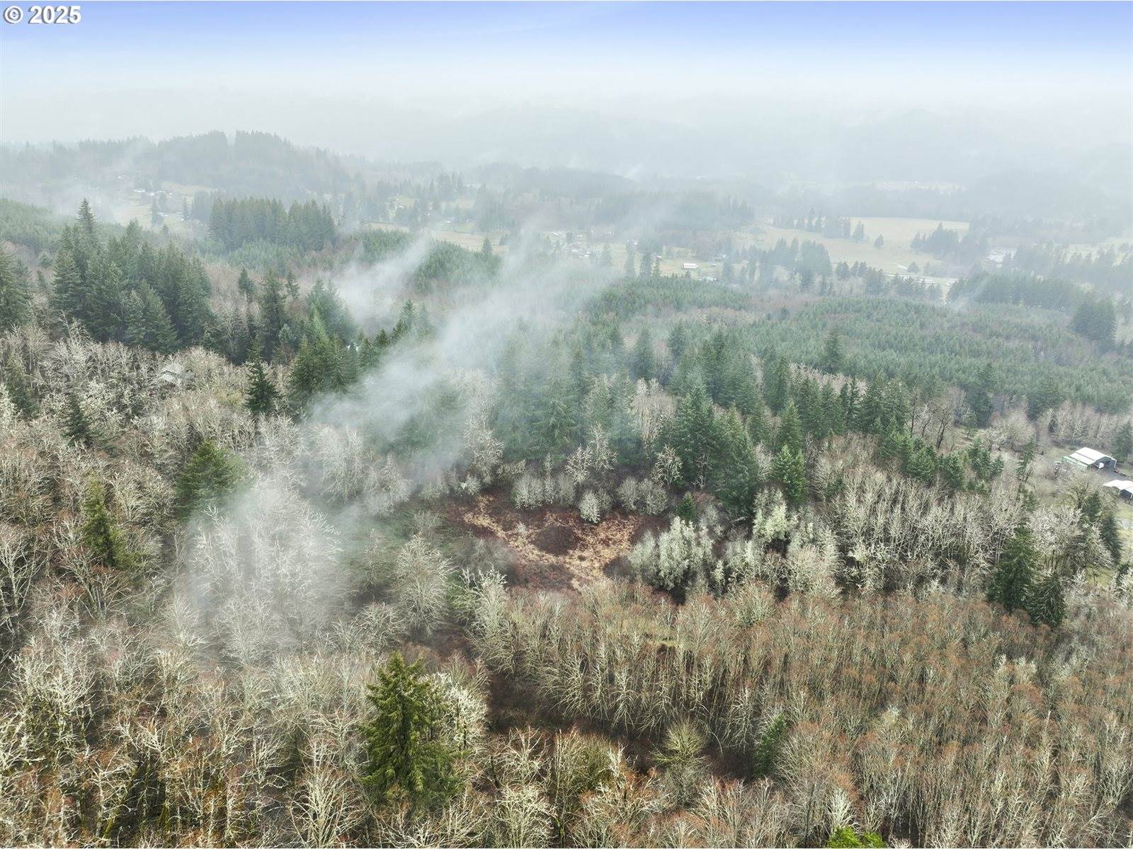 NE 197th Ct, Amboy, WA 98601