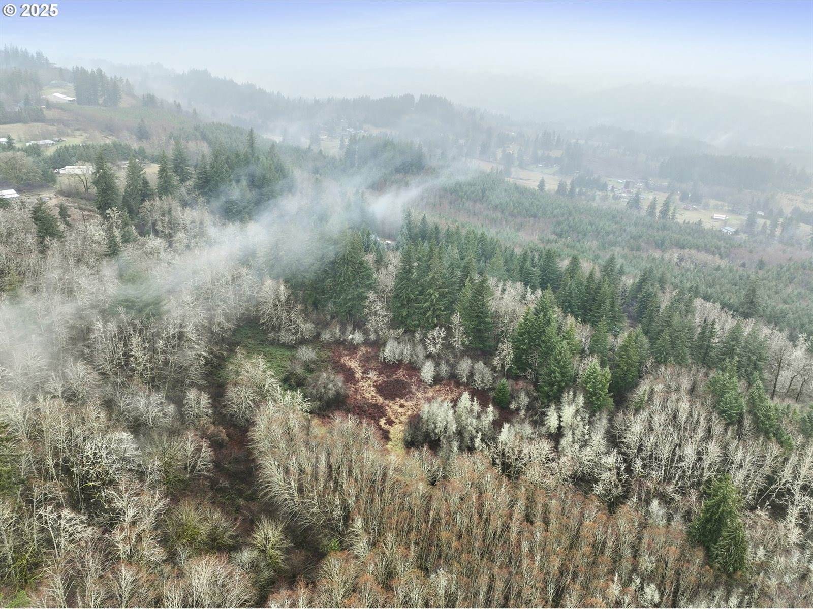 NE 197th Ct, Amboy, WA 98601