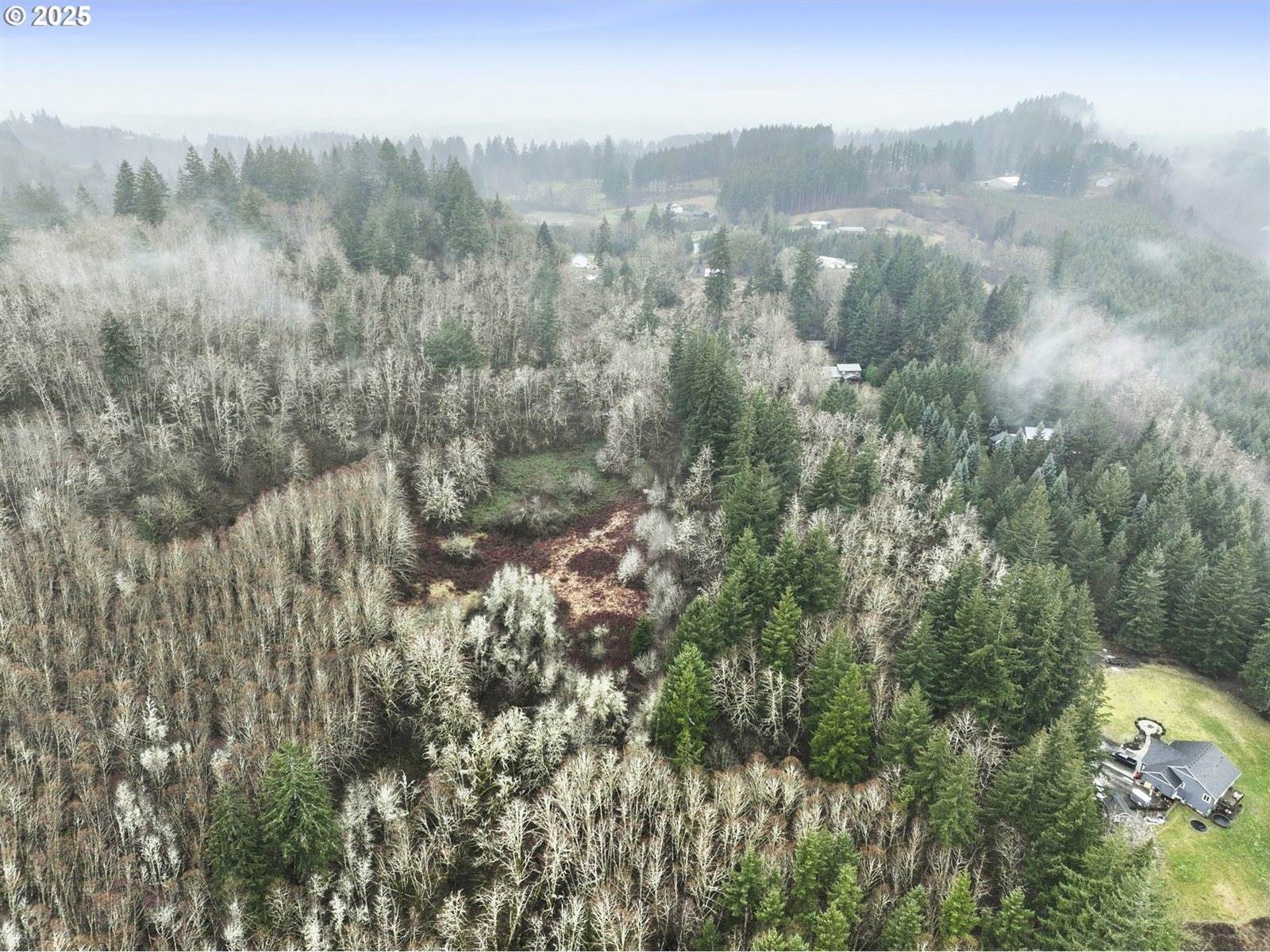 NE 197th Ct, Amboy, WA 98601