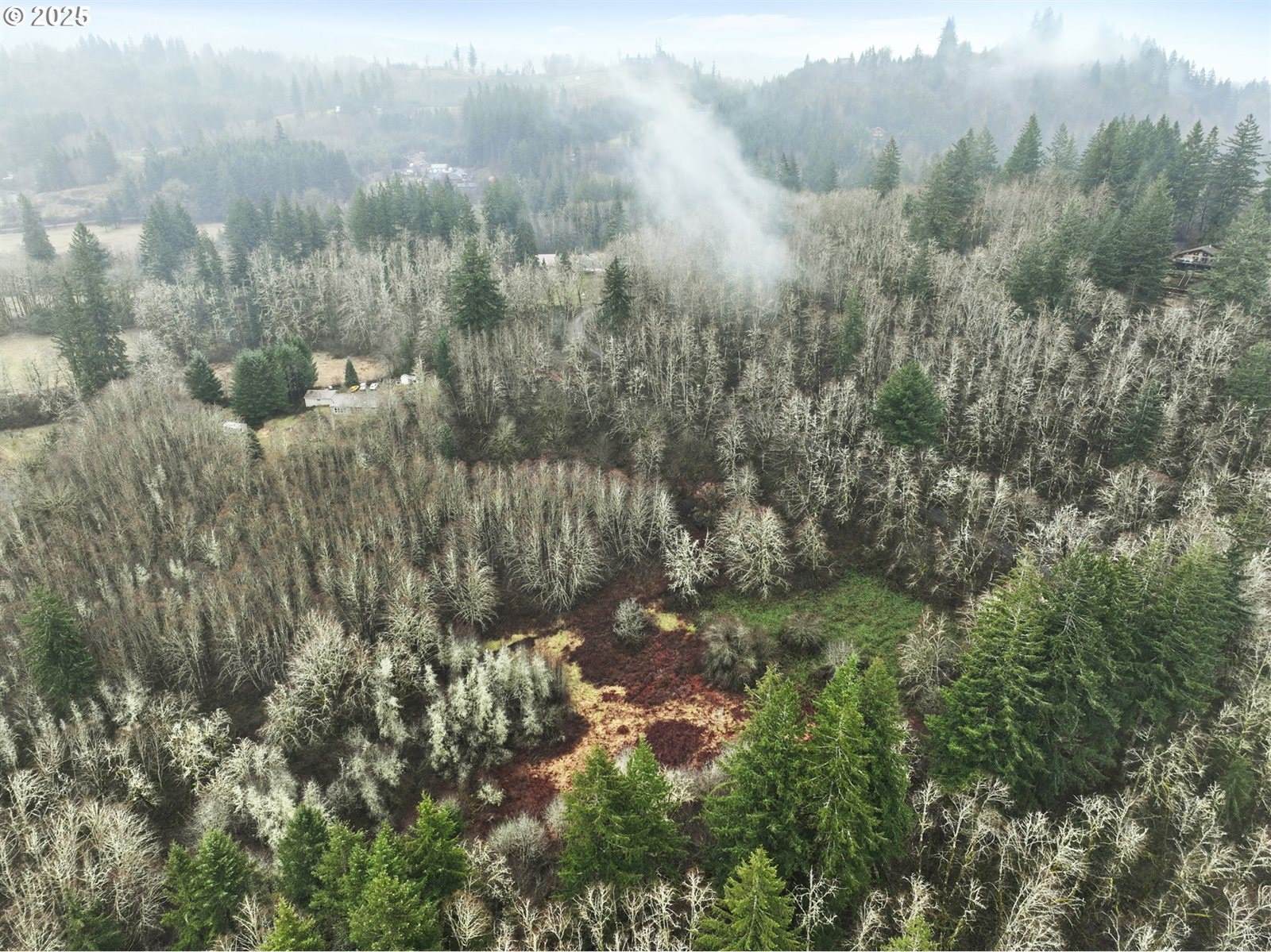 NE 197th Ct, Amboy, WA 98601