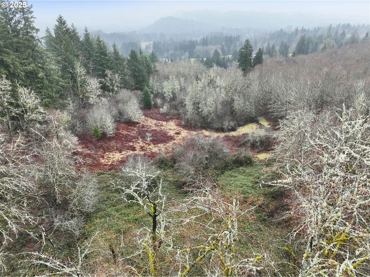 NE 197th Ct, Amboy, WA 98601