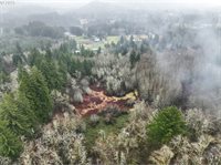 NE 197th Ct, Amboy, WA 98601