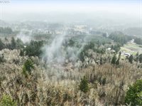 NE 197th Ct, Amboy, WA 98601