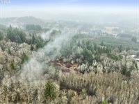 NE 197th Ct, Amboy, WA 98601