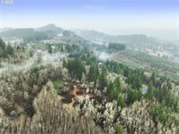 NE 197th Ct, Amboy, WA 98601