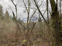 NE 197th Ct, Amboy, WA 98601