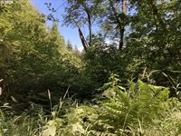 NE 197th Ct, Amboy, WA 98601