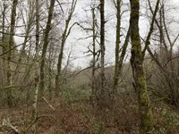 NE 197th Ct, Amboy, WA 98601