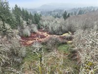 NE 197th Ct, Amboy, WA 98601