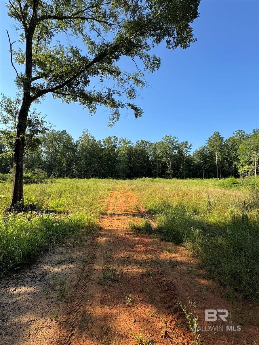 16300 County Road 54, Silverhill, AL 36576