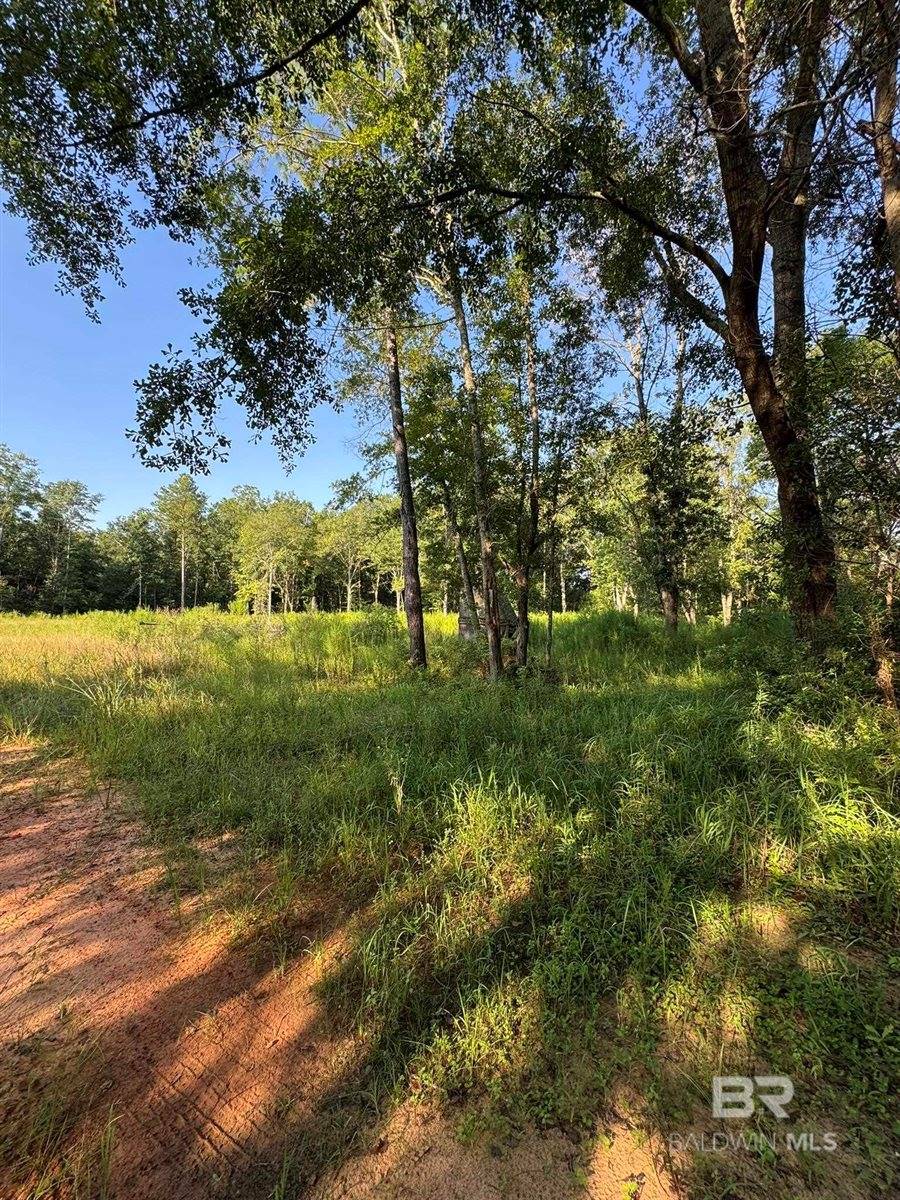 16300 County Road 54, Silverhill, AL 36576