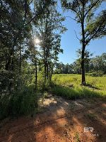 16300 County Road 54, Silverhill, AL 36576