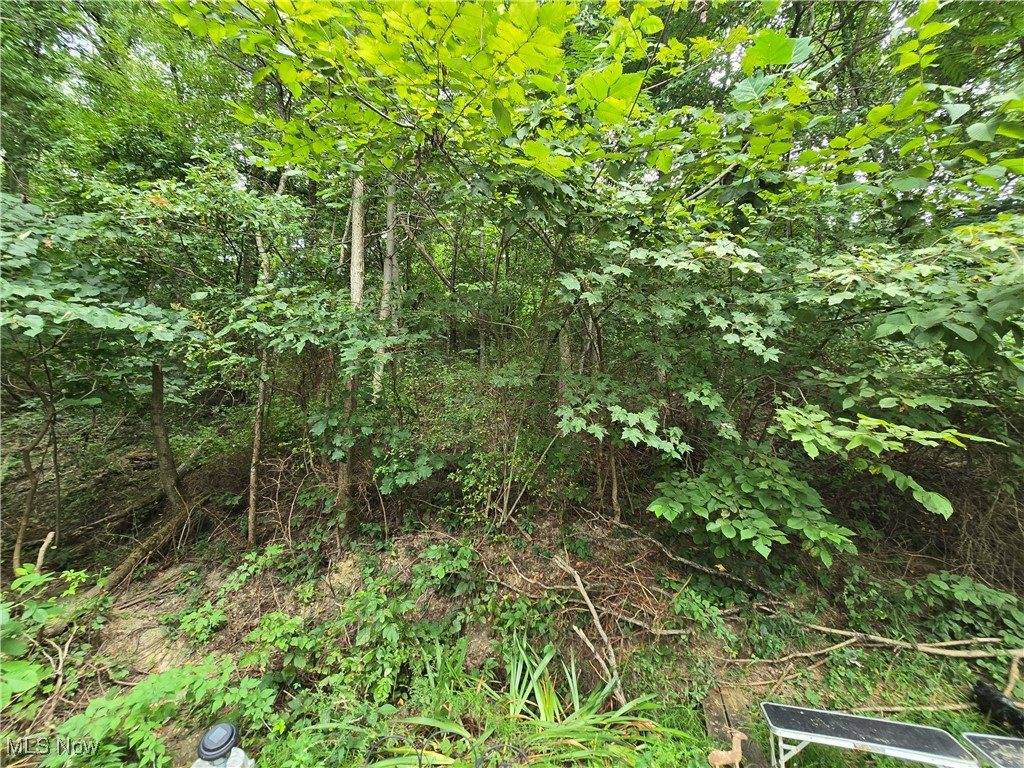 63327 Pisgah Road, Quaker City, OH 43773