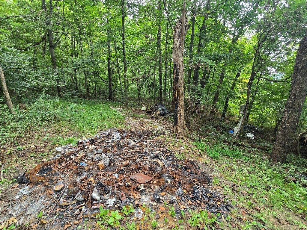 63327 Pisgah Road, Quaker City, OH 43773