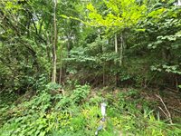 63327 Pisgah Road, Quaker City, OH 43773