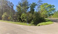 0 River Road 118 Acres Road, Hammond, LA 70401