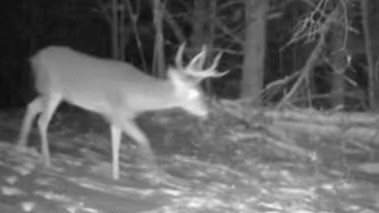 E23745 Gerth Road, Fairchild, WI 54741