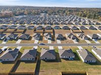 19 Curly Leaf Lane, Conway, AR 72032