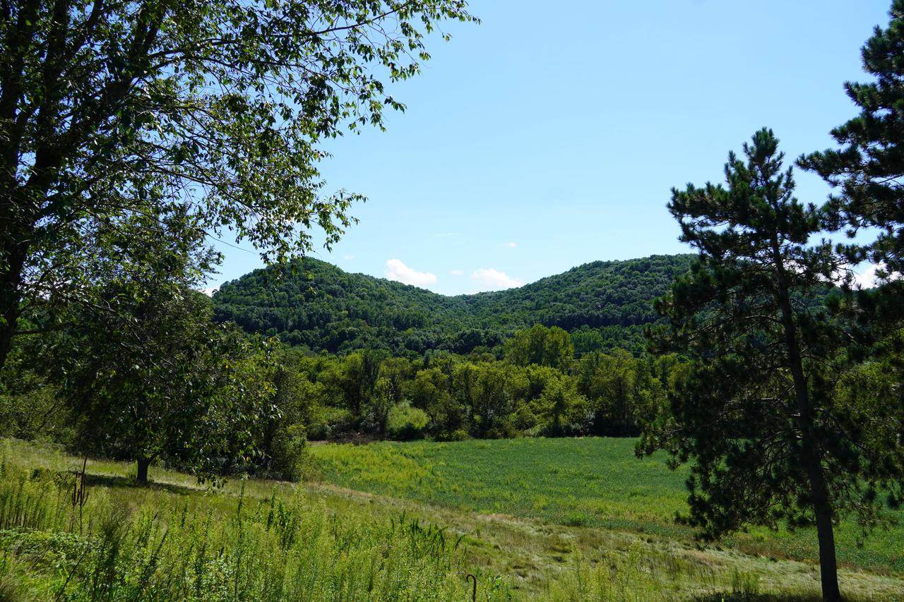 E2817 S Creek ROAD, De Soto, WI 54624