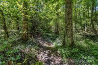 62 Hermit Springs Trail, Hendersonville, NC 28739