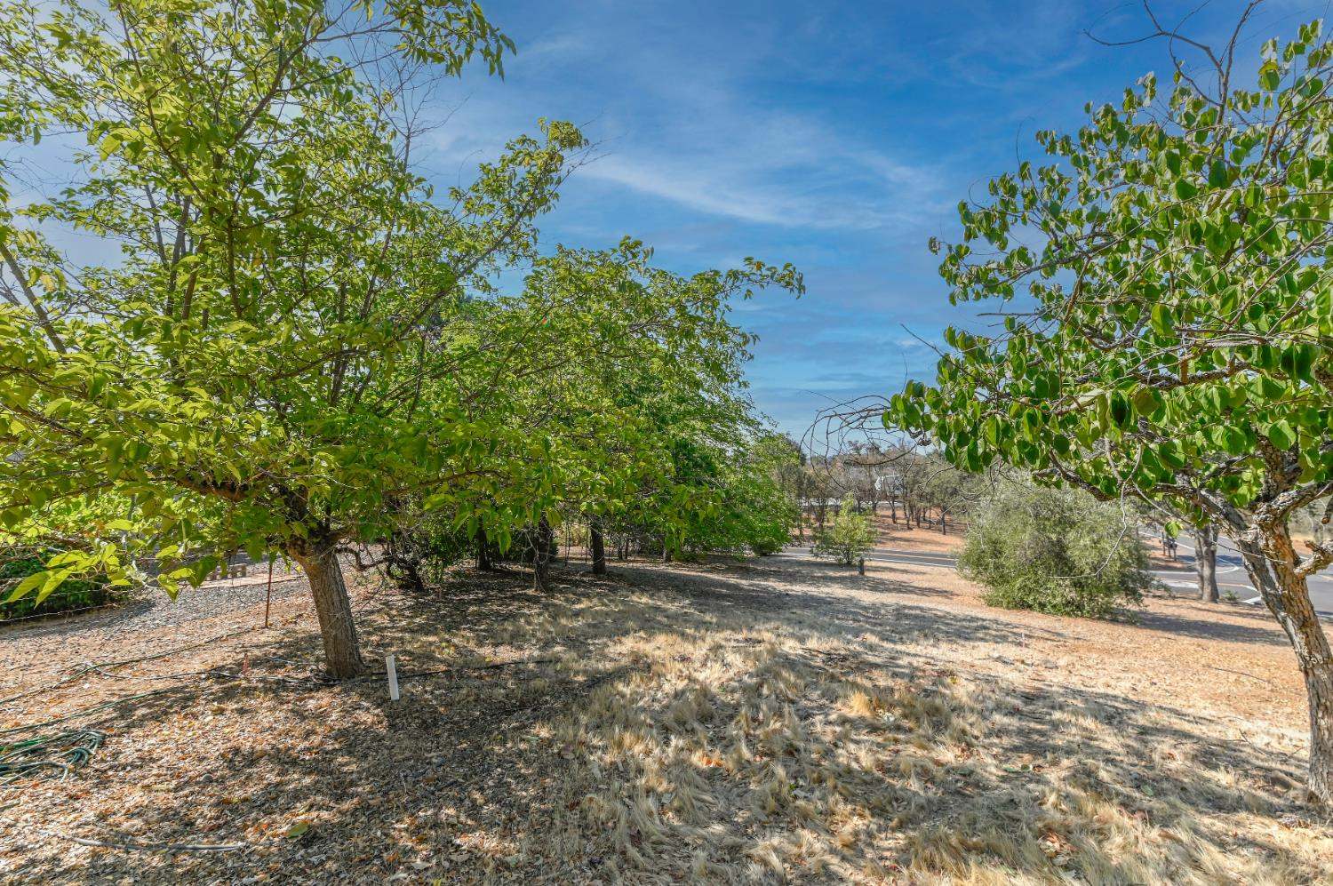 2451 Canoe Street, Copperopolis, CA 95228