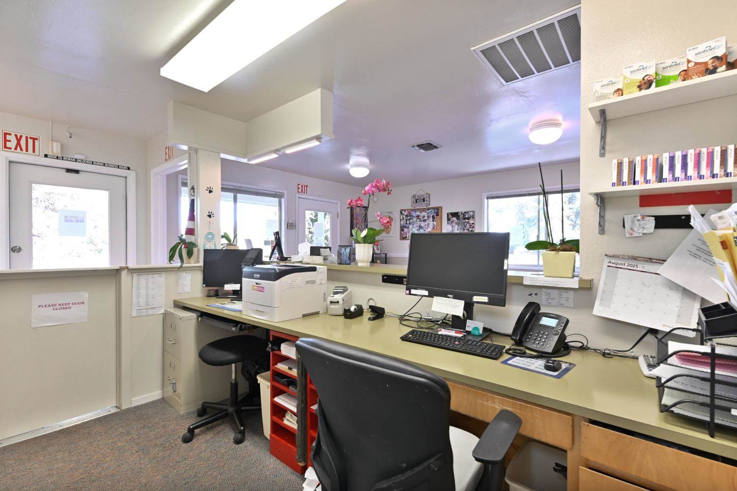 382 West Highway 4, Murphys, CA 95247