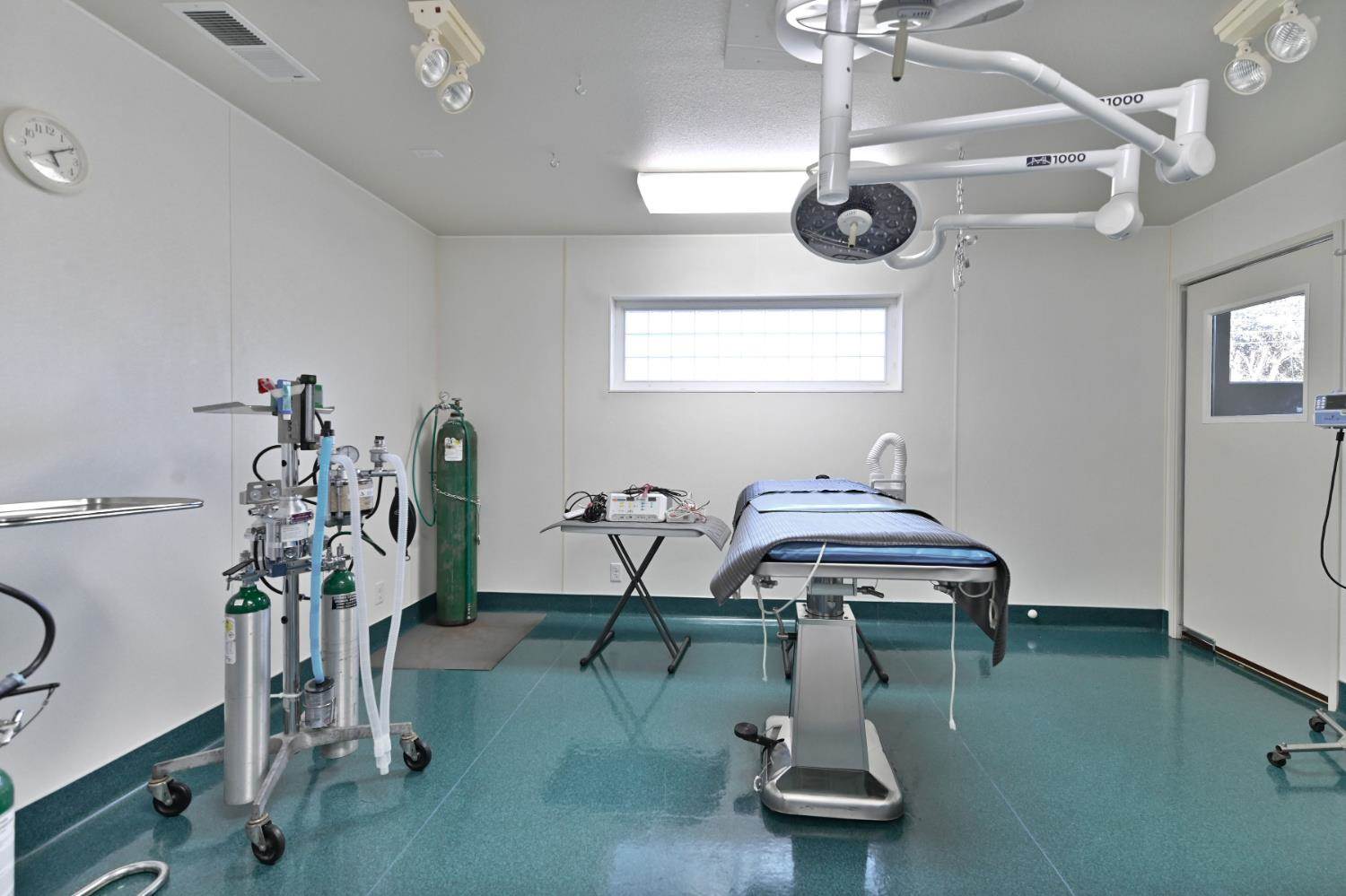 382 West Highway 4, Murphys, CA 95247