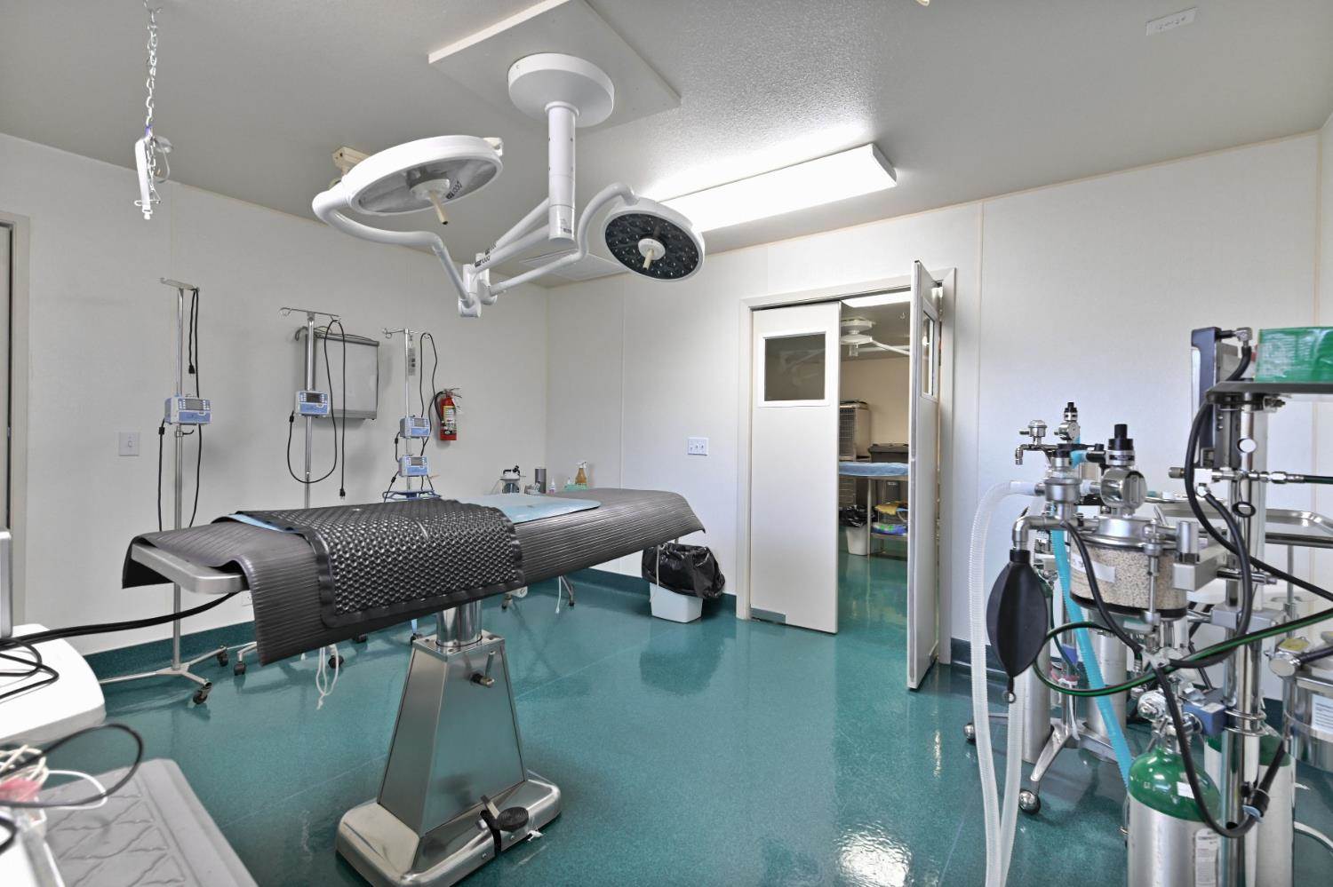 382 West Highway 4, Murphys, CA 95247