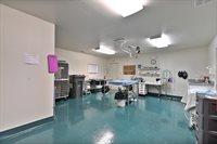 382 West Highway 4, Murphys, CA 95247