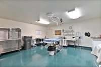 382 West Highway 4, Murphys, CA 95247