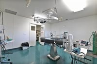 382 West Highway 4, Murphys, CA 95247