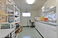 382 West Highway 4, Murphys, CA 95247