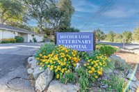 382 West Highway 4, Murphys, CA 95247