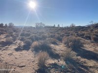 310 Ophir Road, Dayton, NV 89403