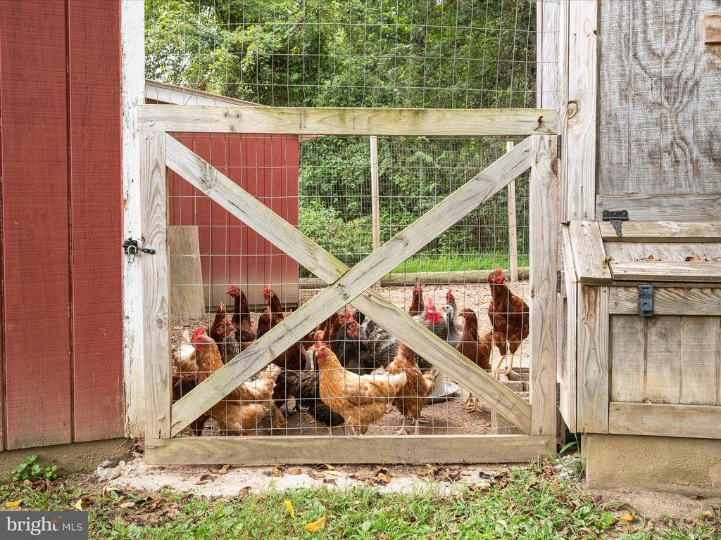 505 Back Creek Road, Gore, VA 22637