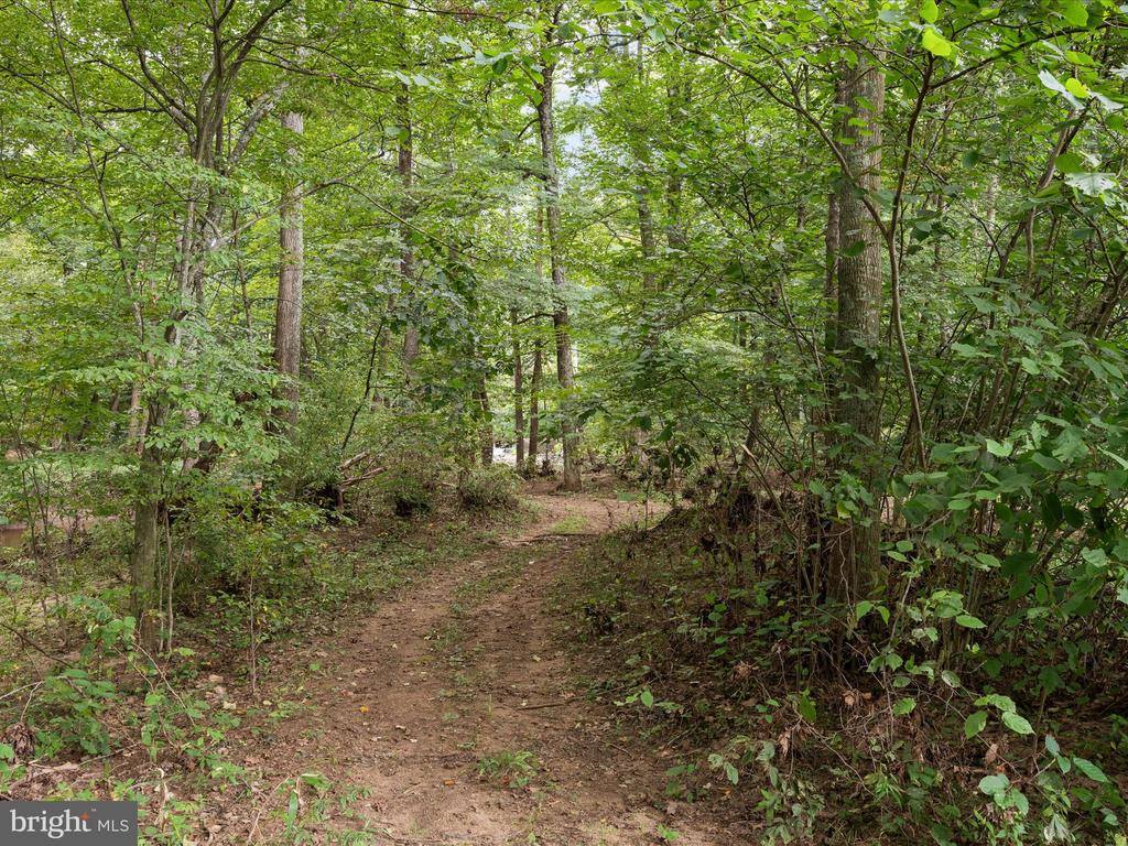 505 Back Creek Road, Gore, VA 22637