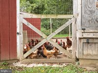 505 Back Creek Road, Gore, VA 22637