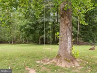 505 Back Creek Road, Gore, VA 22637