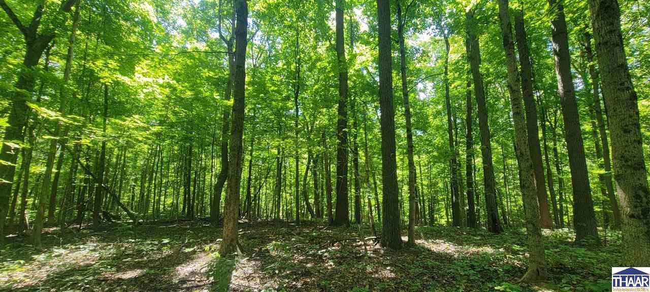 3763 East 250 S, Hillsdale, IN 47854