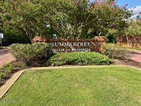 216 Sherlock Way, Madison, MS 39110