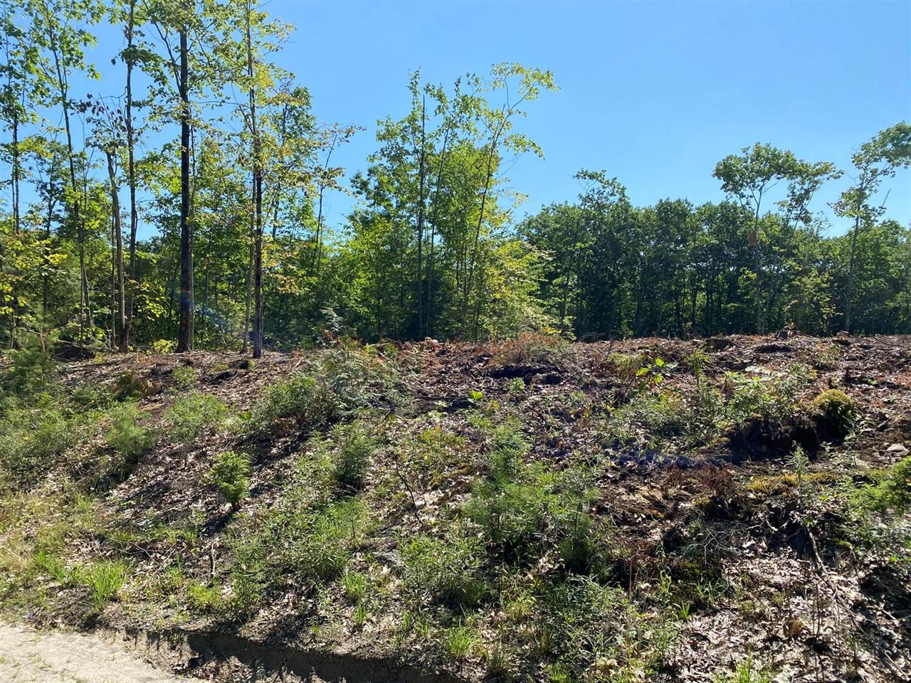 TBD LOT 2 Neck Road, West Gardiner, ME 04345