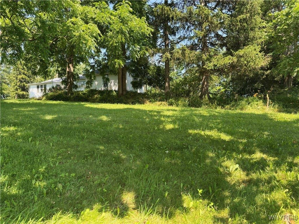 1009 Clinton Street Rd Road, Bennington, NY 14011