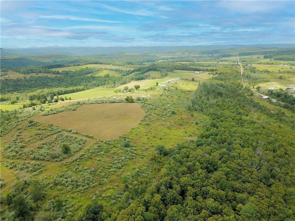 0 Williams Road, Rathbone, NY 14801