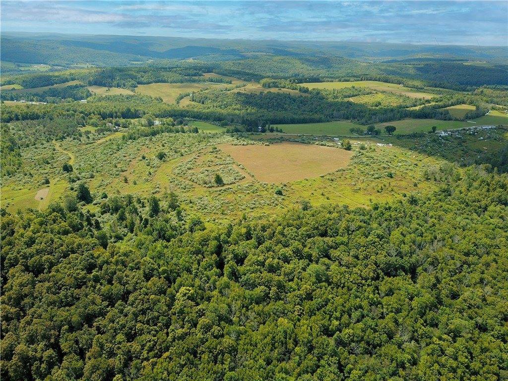 0 Williams Road, Rathbone, NY 14801