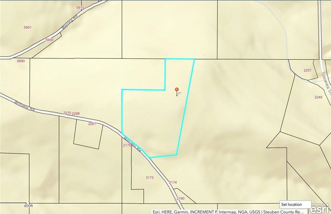 0 Williams Road, Rathbone, NY 14801