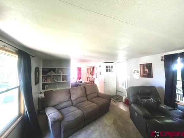 62880 Lasalle Road, Montrose, CO 81401