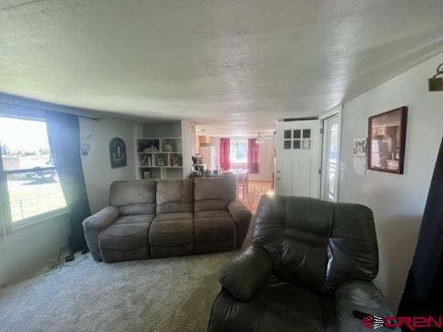 62880 Lasalle Road, Montrose, CO 81401